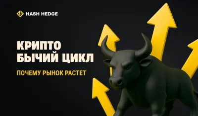 Крипто-бычий цикл: почему рынок продолжает расти
