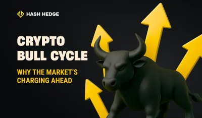 Crypto bull cycle: why the market's charging ahead