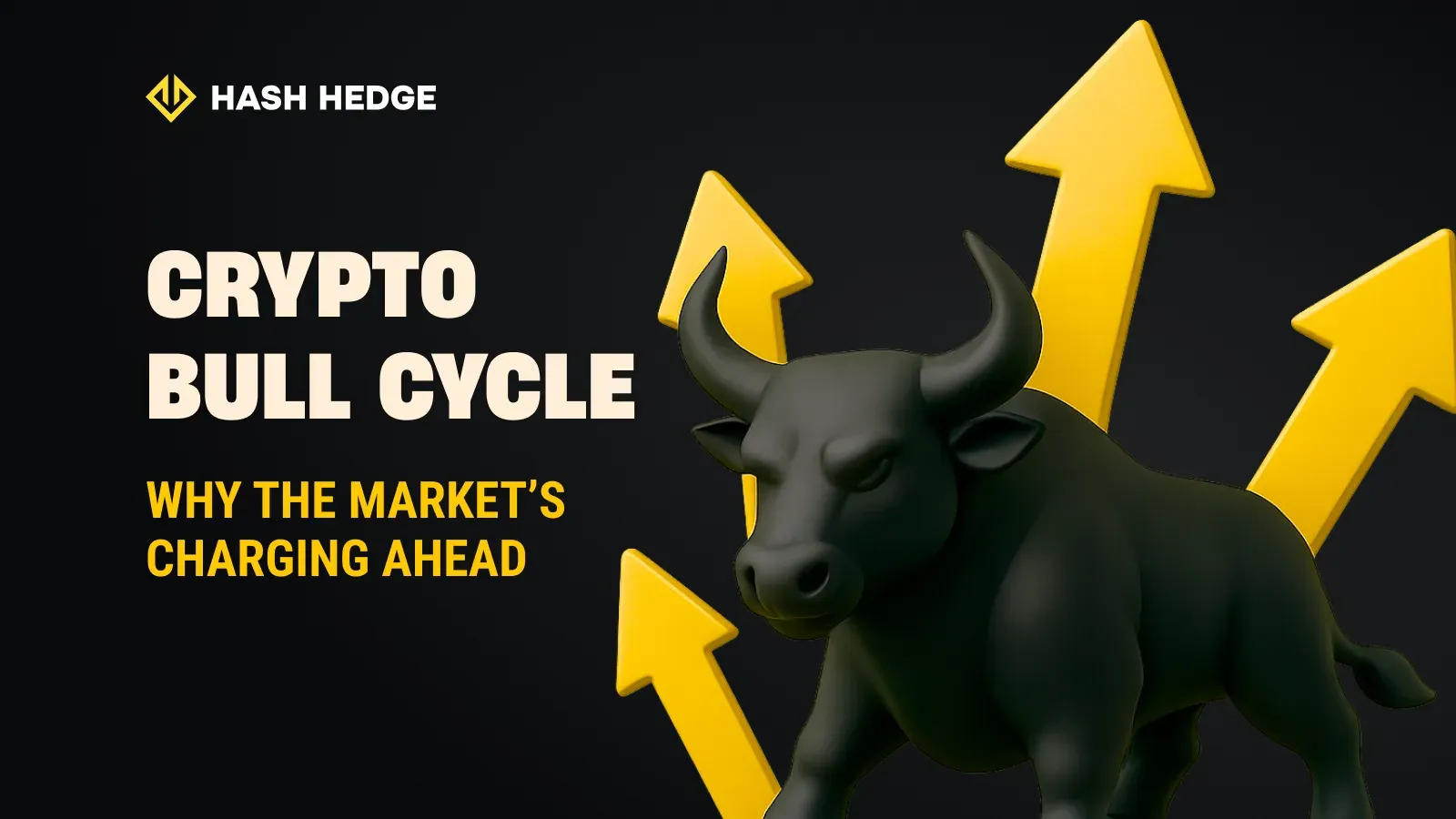 Crypto bull cycle: why the market's charging ahead