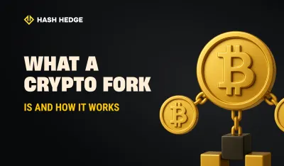 Crypto forks explained: hard forks and soft forks