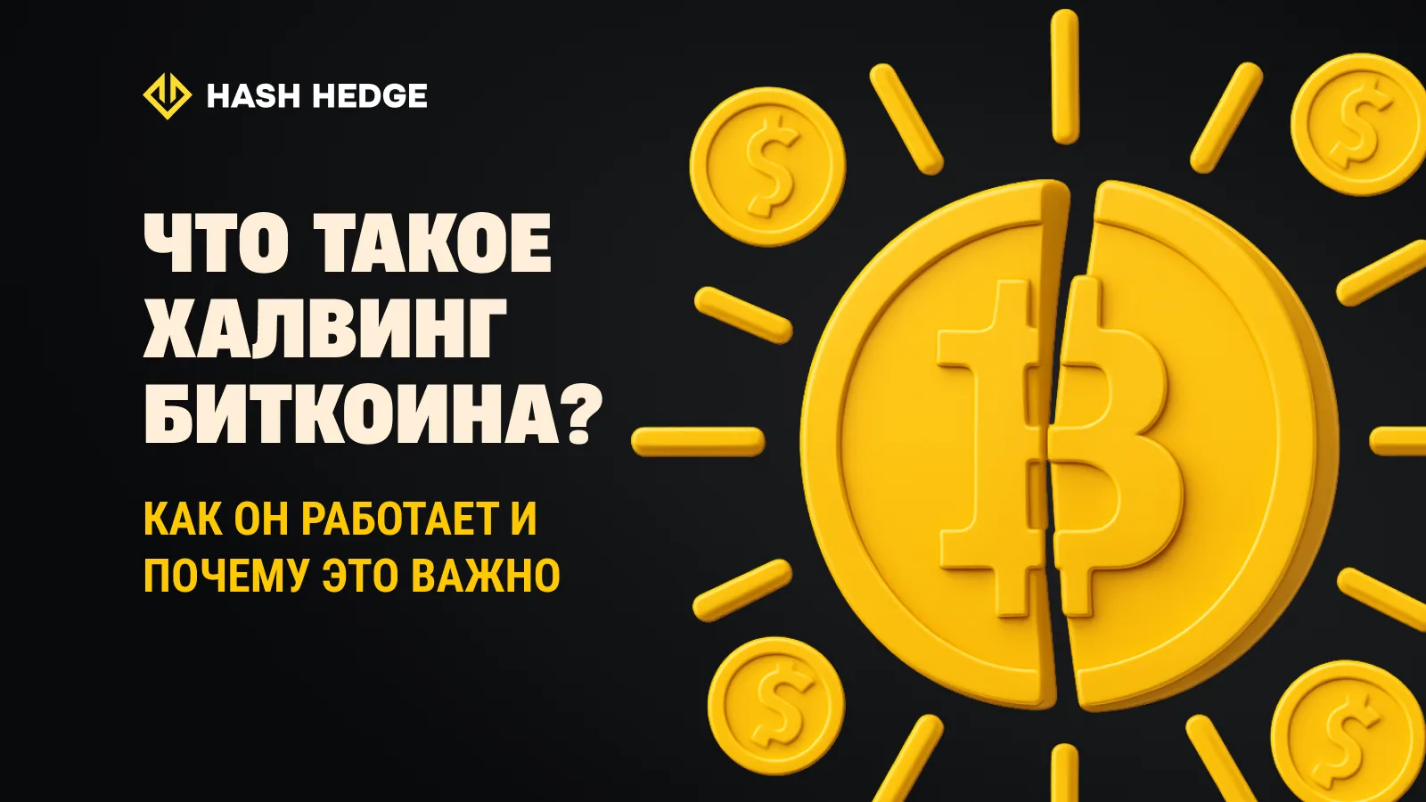 Bitcoin halving concept with split coin illustration