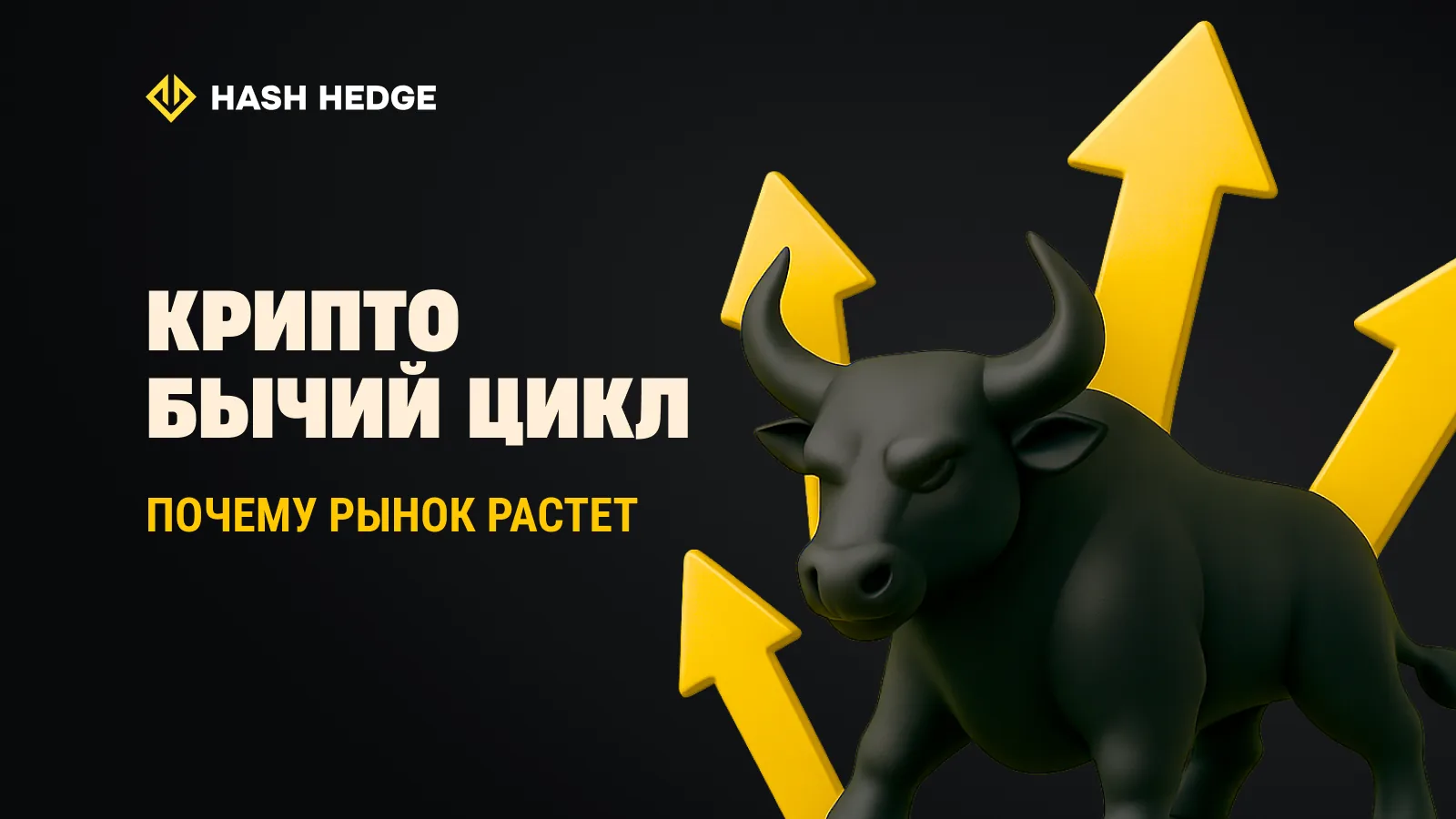 Crypto bull market with rising chart